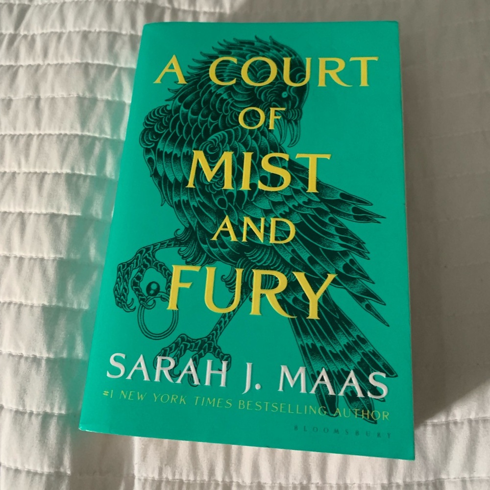 A Court of Mist and Fury Book Paperback EUC